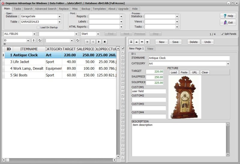Garage Sale Inventory Software for Windows PCs entry form